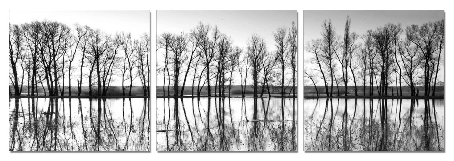 Sisustustaulu- Puiden Heijastus 3-osainen. 1 Sisustustaulu- Puiden Heijastus 3-osainen.