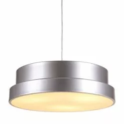 Niemi- Kattovalaisin, Hopea