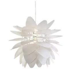 Netta- Kattovalaisin, Valkoinen.