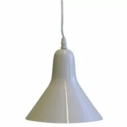 Paju- Kattovalaisin, Valkoinen.