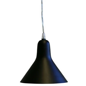 Paju- Kattovalaisin, Musta. 1 Paju- Kattovalaisin, Musta.